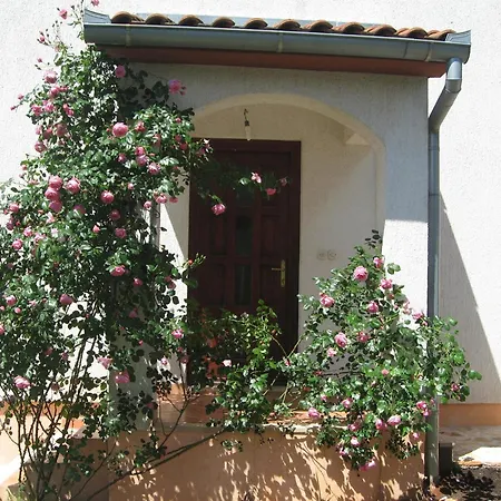 Spacious In Dalmatia