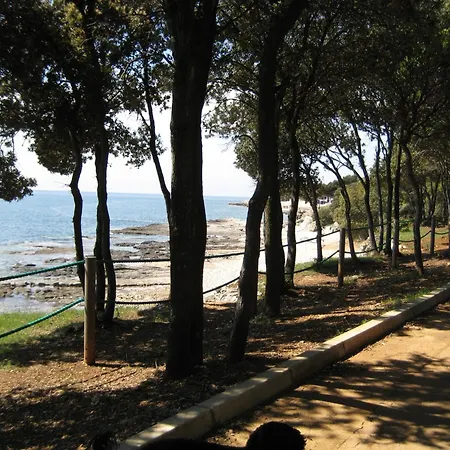 Spacious In Dalmatia