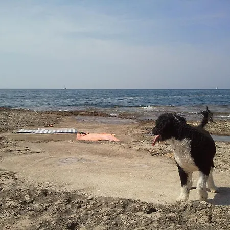 Spacious In Dalmatia * Tar-Vabriga