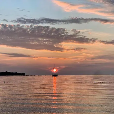 Spacious In Dalmatia