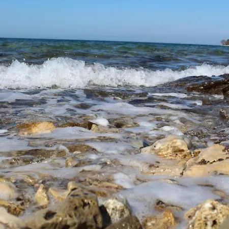 Spacious In Dalmatia *